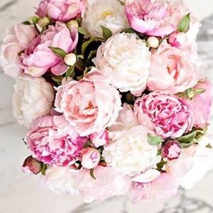 Meet your Posher, Sarra